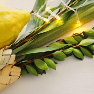 Sukkot