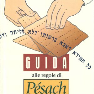 Guida alle regole di Pésach
